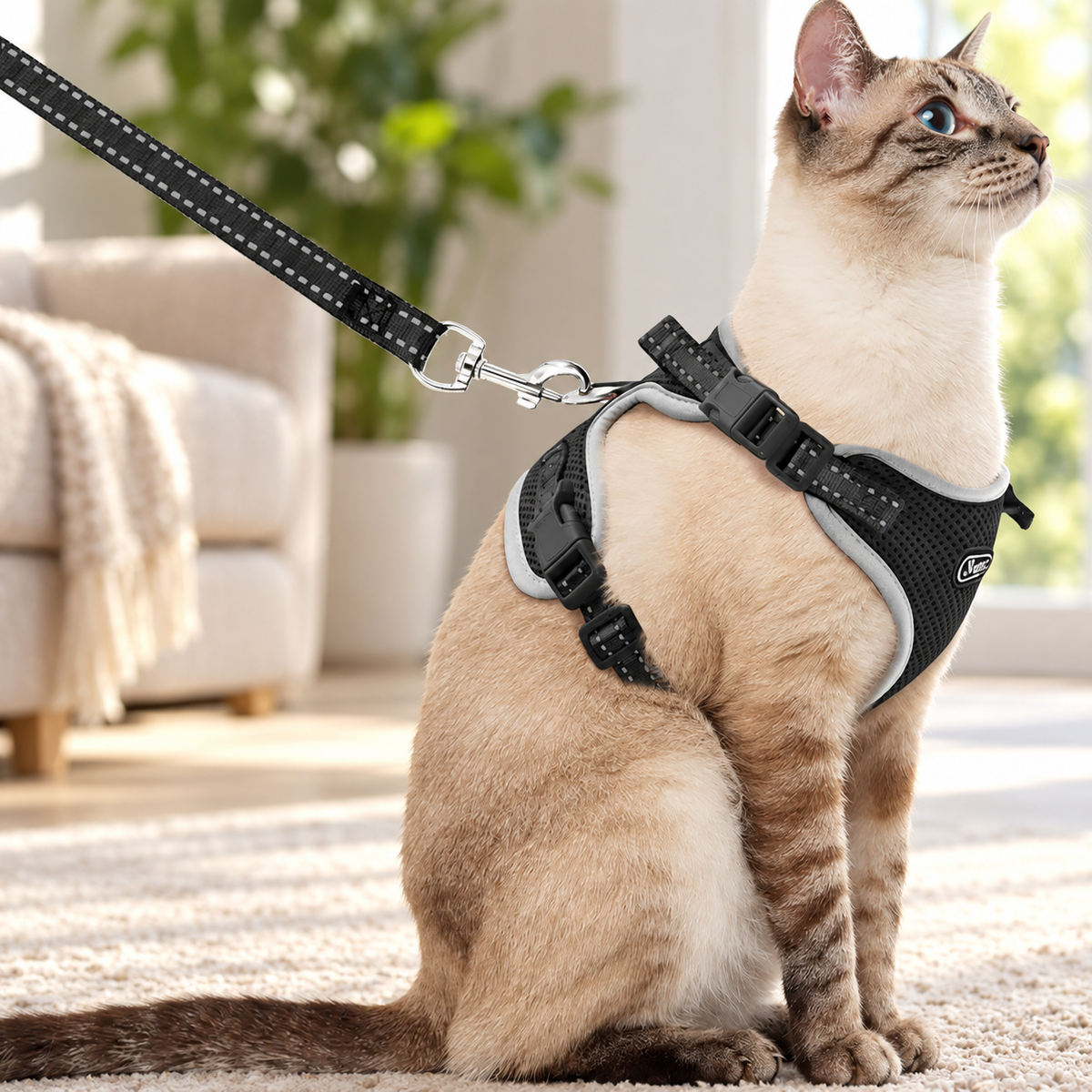 Supet Cat Harness & Leash – Black