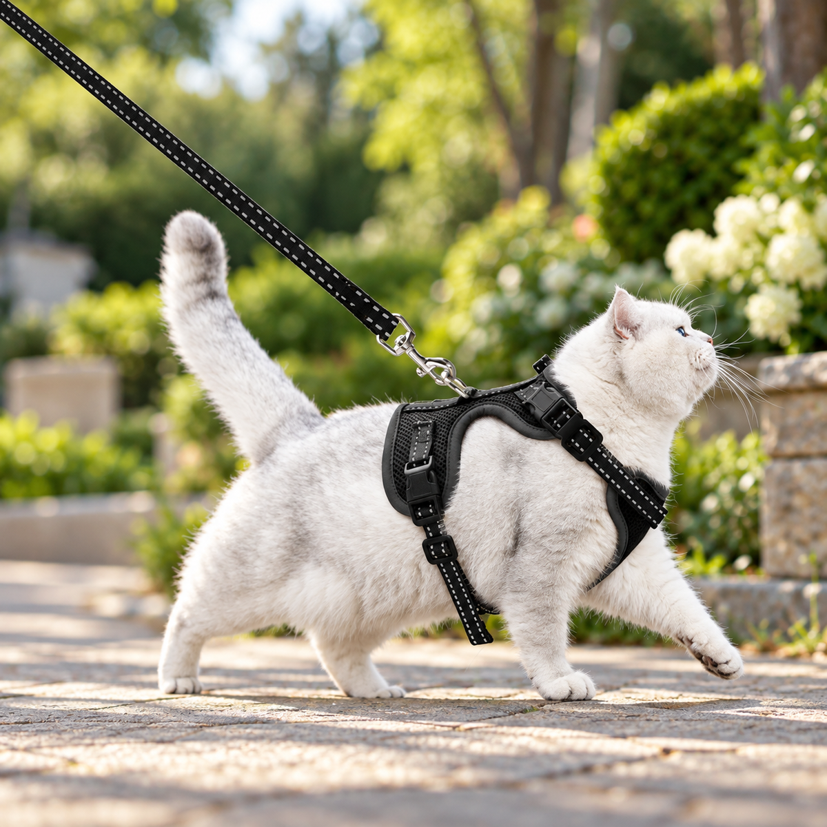 Supet Cat Harness & Leash – Black