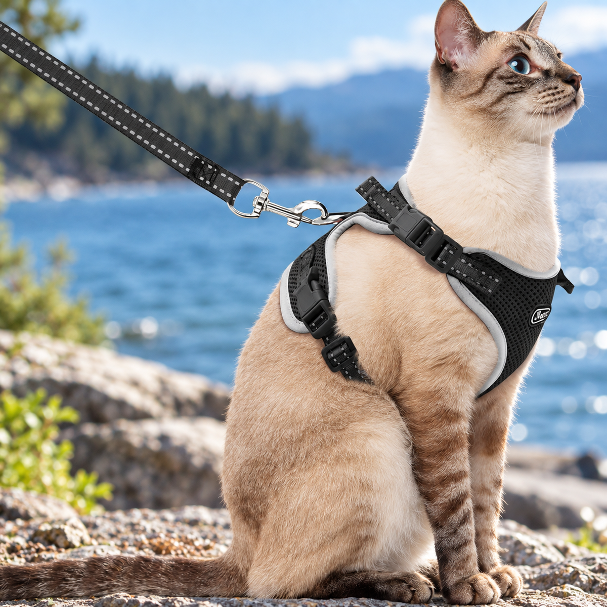 Supet Cat Harness & Leash – Black