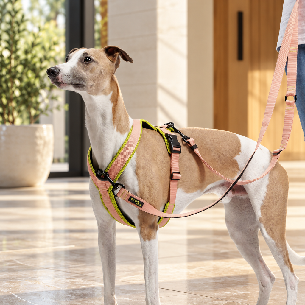 Y-1 Air-Mesh Dog Harness